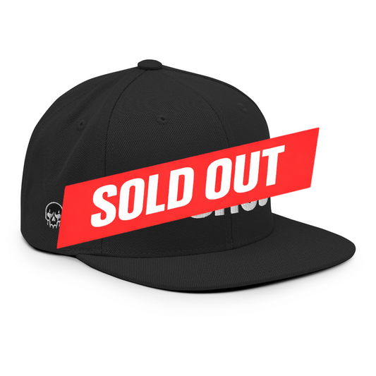 SOLD OUT *** WGHOST Flat Brim Snapback